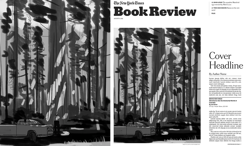 NYT Book Review